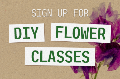 /diy-flower-classes-events/