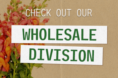 /wholesale-division/